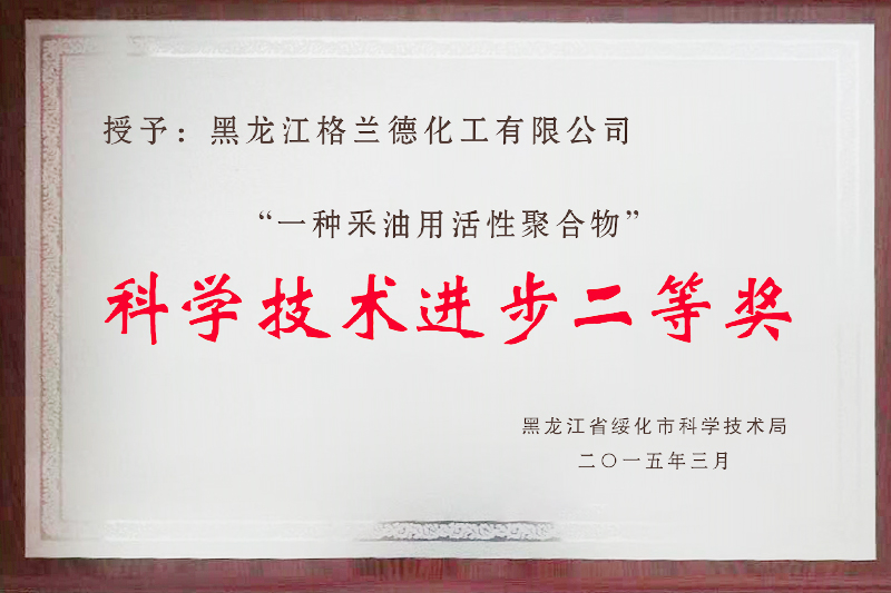 科學(xué)技術(shù)進步二等獎